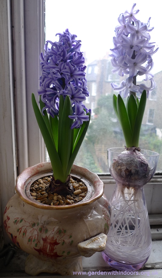Dartington neodymium hyacinth vase