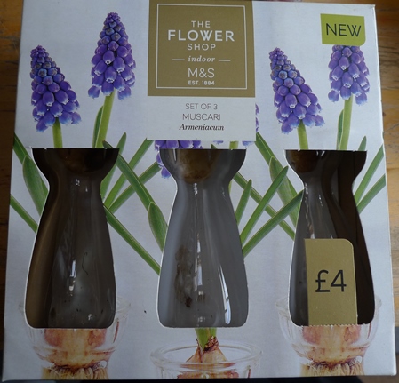 Marks and Spencer muscari vases