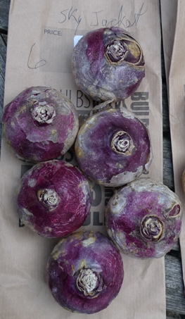 prepared Sky Jacket hyacinth bulbs