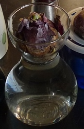 luminarc hyacinth vase