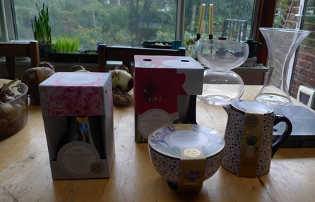 Marks and Spencer bulb forcing gifts