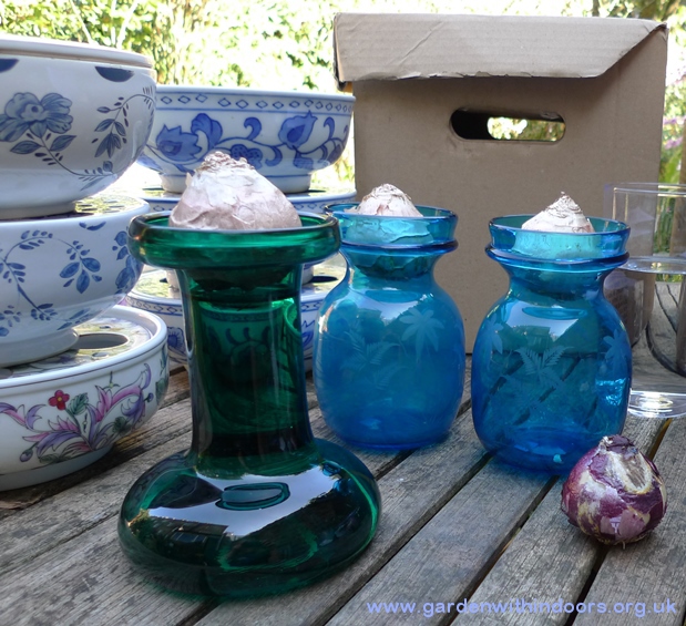hyacinth vases and bulb bowls