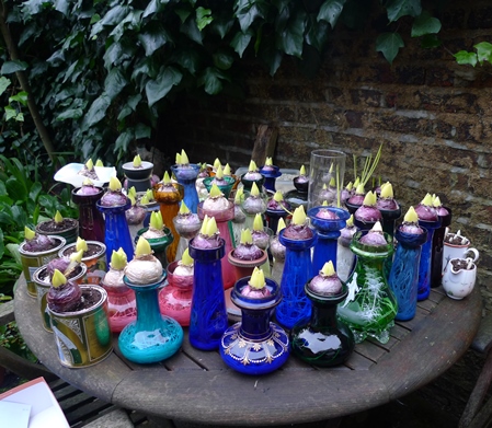 hyacinth vases out of the cellar