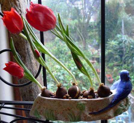 red tulips in Shorter and Son flower trough